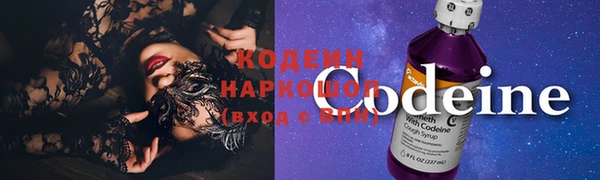 ГАЛЛЮЦИНОГЕННЫЕ ГРИБЫ Балахна