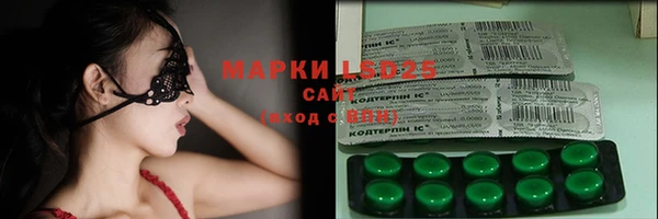 ПСИЛОЦИБИНОВЫЕ ГРИБЫ Баксан