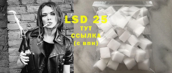 ПСИЛОЦИБИНОВЫЕ ГРИБЫ Баксан