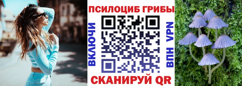 блэк спрут ссылки  Заозёрск  Галлюциногенные грибы мухоморы  где купить  